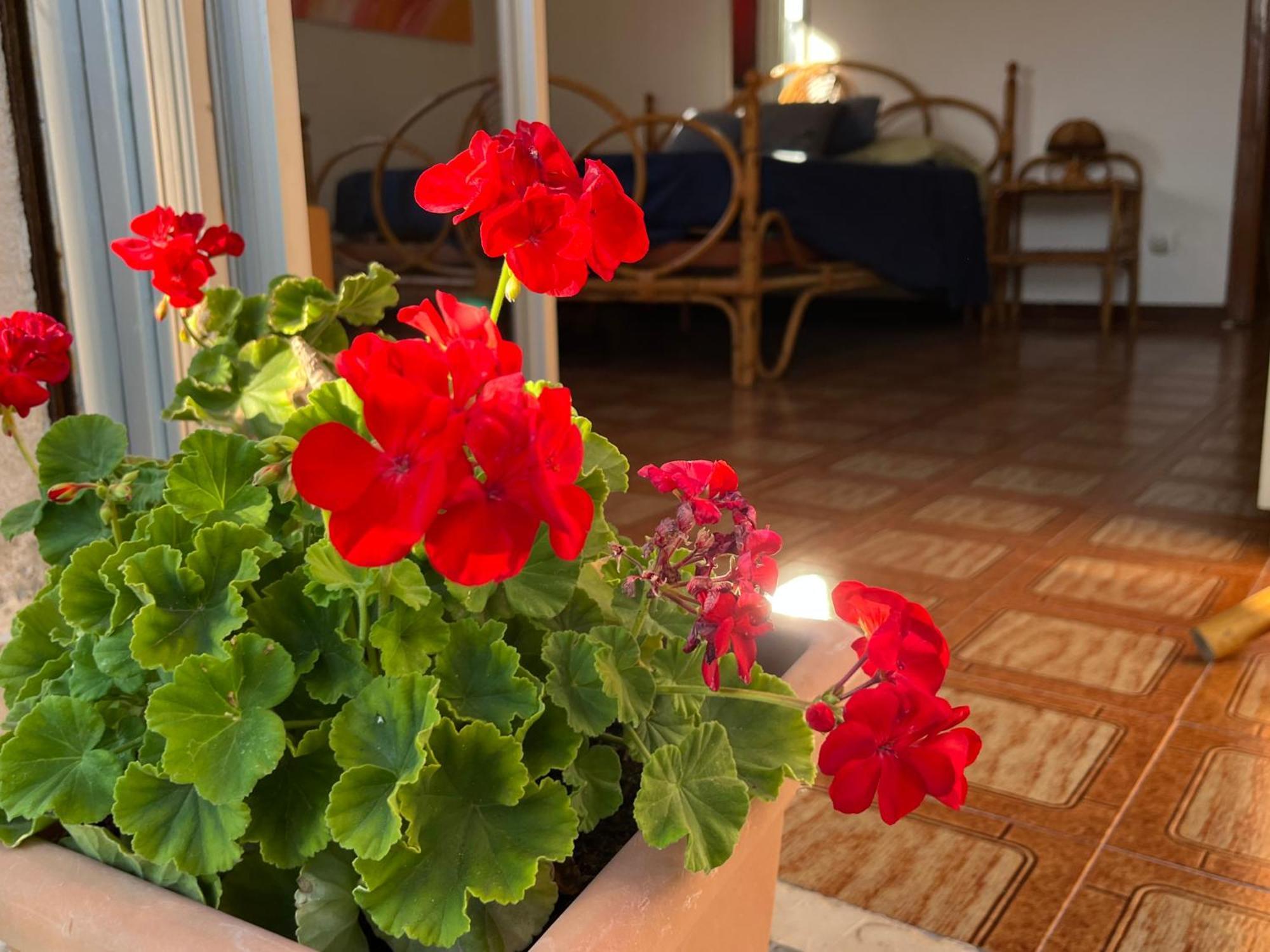 A Casa Di Mara Apartment Mondello Luaran gambar